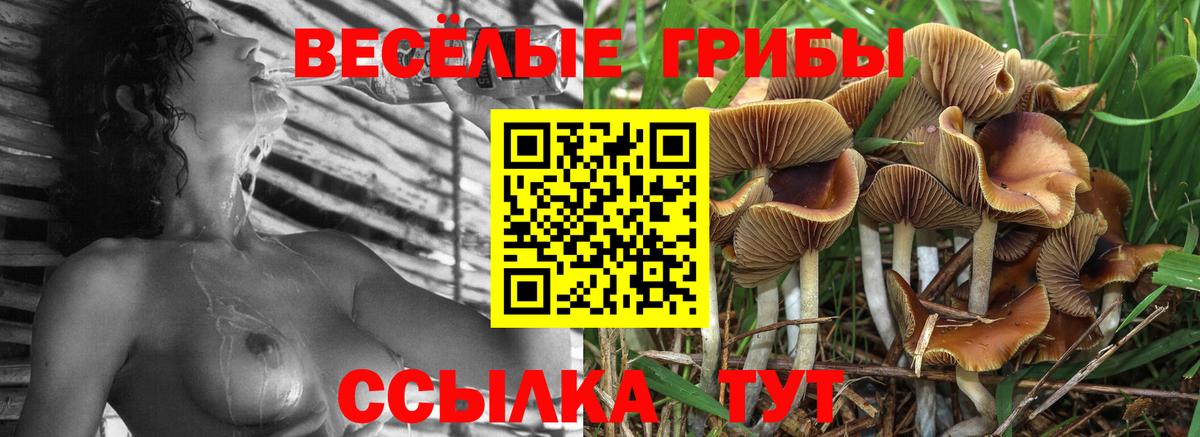 Псилоцибиновые грибы Psilocybe  Псилоцибиновые грибы Magic Shrooms  Кулебаки  Вход с VPN 